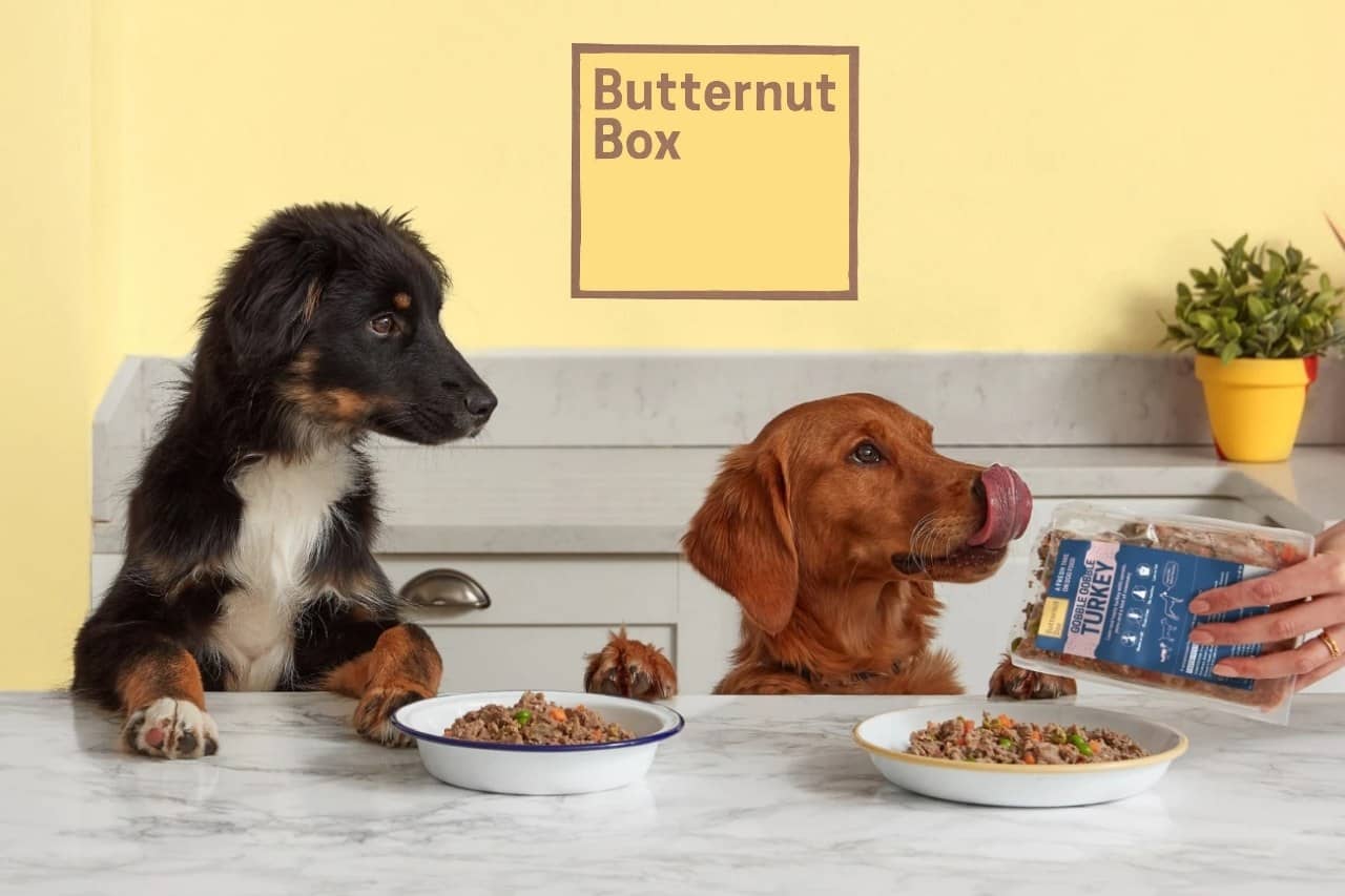 butternut-box-reviews